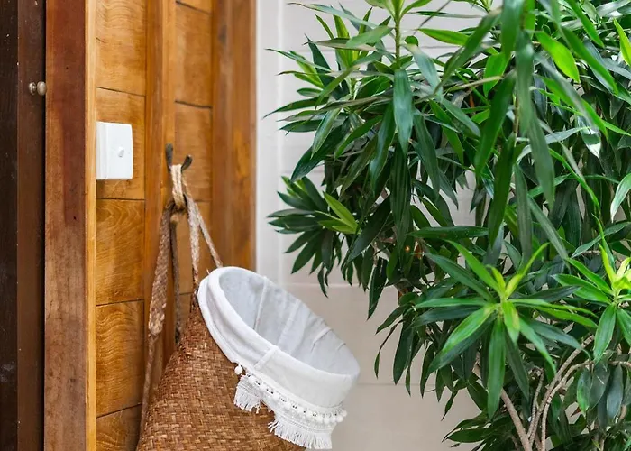 Nido Boutique Canggu ゲストハウス 4*